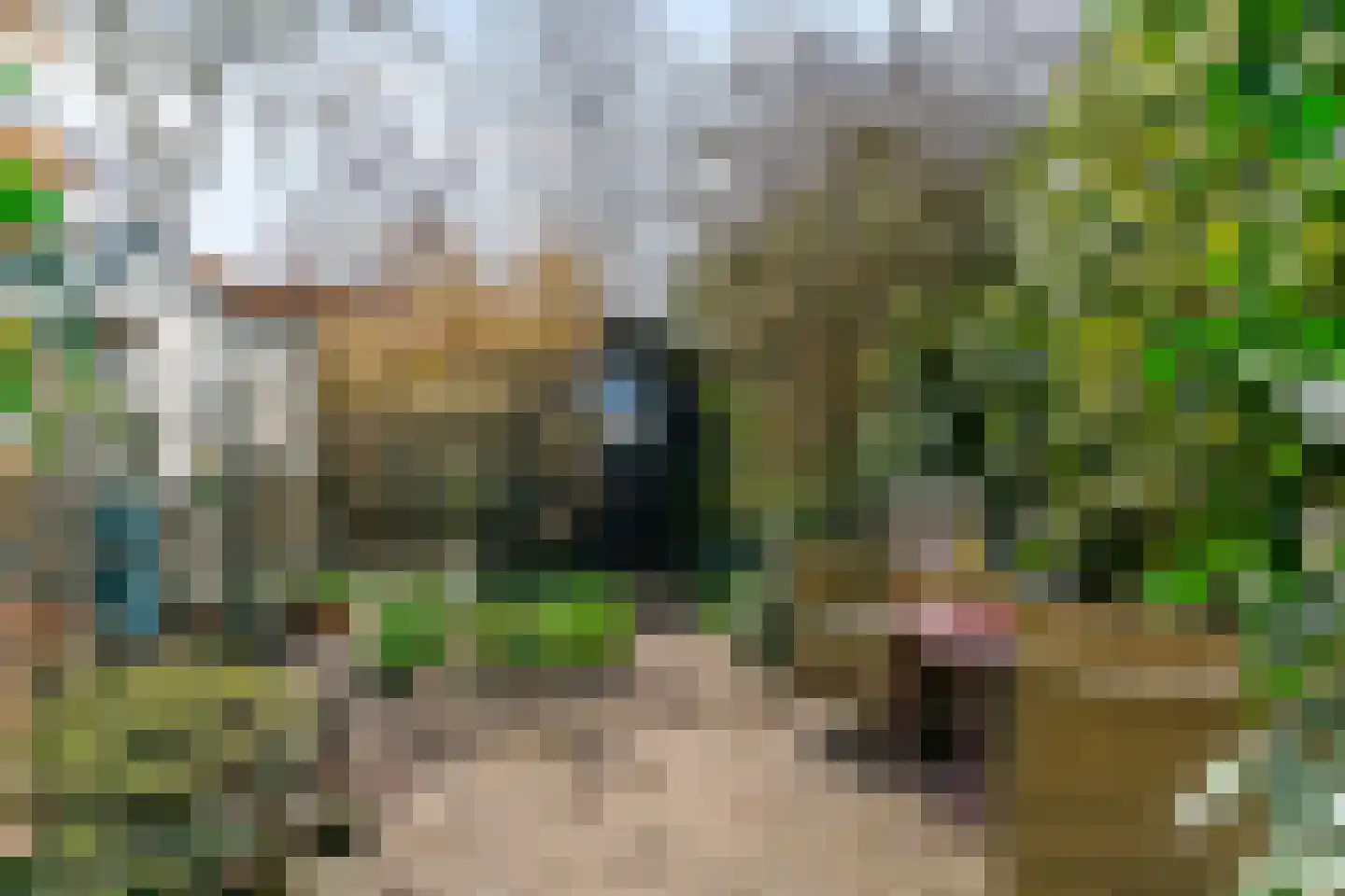 Hoenderkamp 32 Heteren thumbnail 32