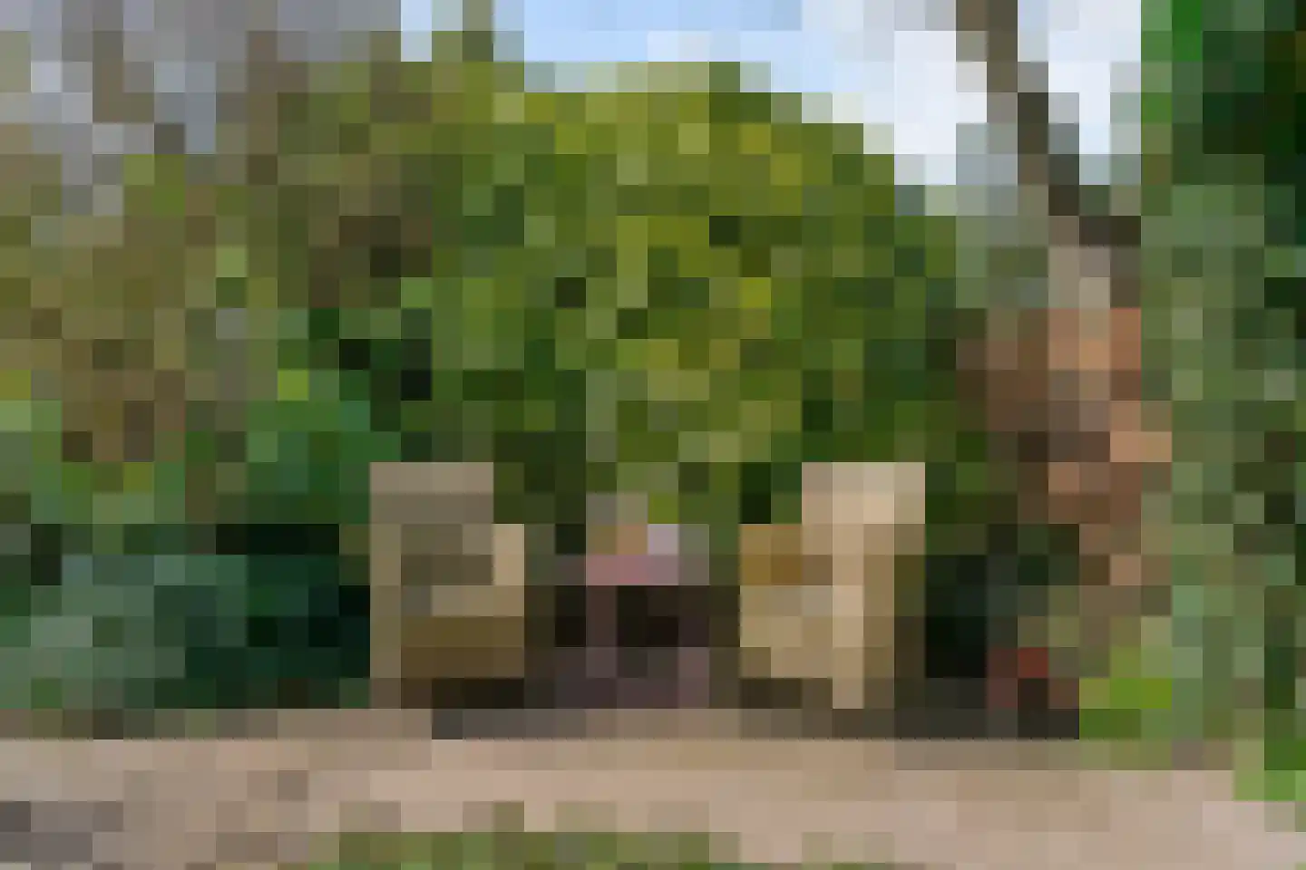 Hoenderkamp 32 Heteren thumbnail 35