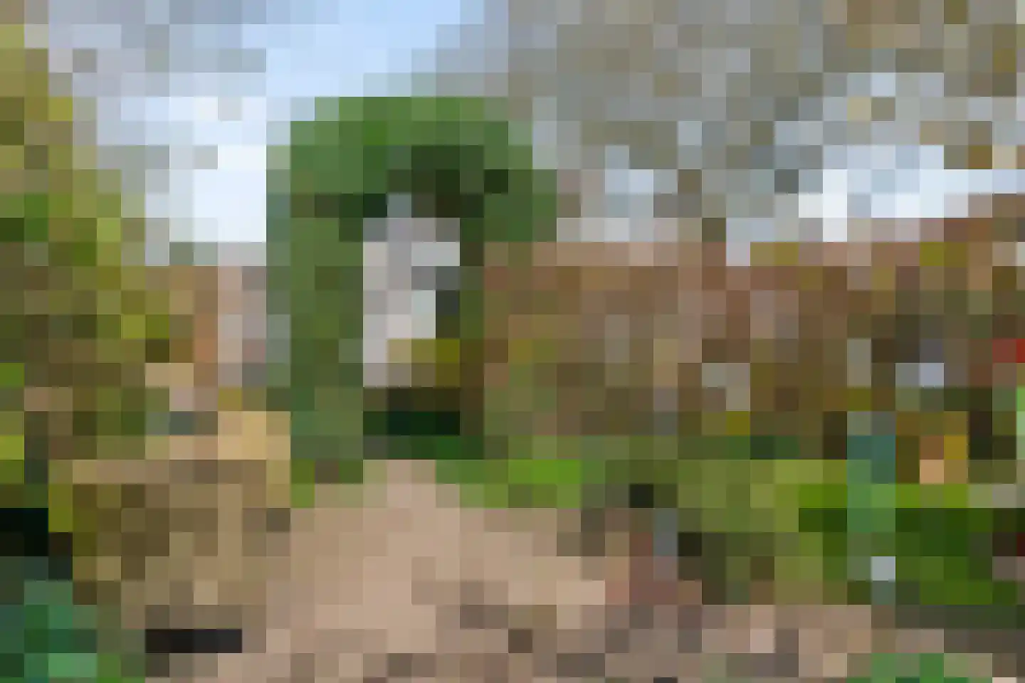 Hoenderkamp 32 Heteren thumbnail 36