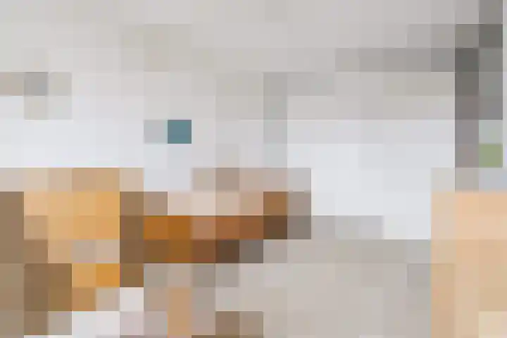 Hoenderkopershoek 27 Bunnik thumbnail 24
