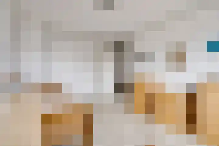 Hoenderkopershoek 27 Bunnik thumbnail 25