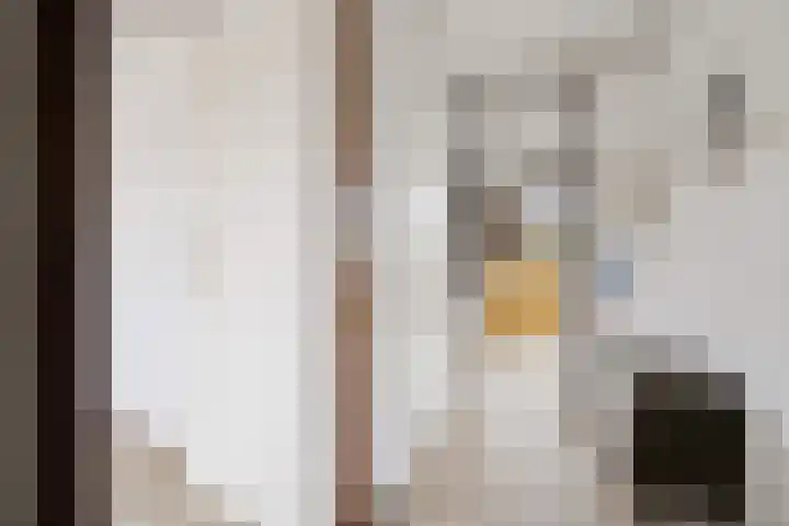 Hoenderkopershoek 27 Bunnik thumbnail 26