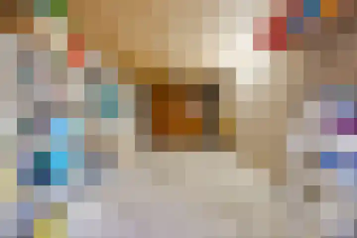 Hoenderkopershoek 27 Bunnik thumbnail 42