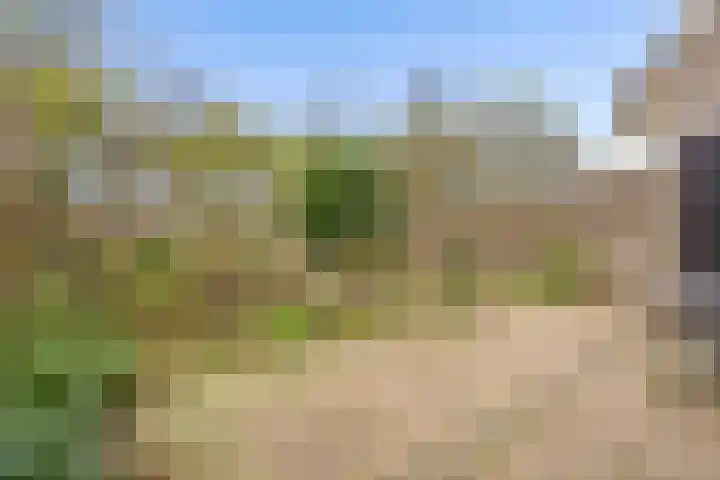 Hoenderkopershoek 27 Bunnik thumbnail 44
