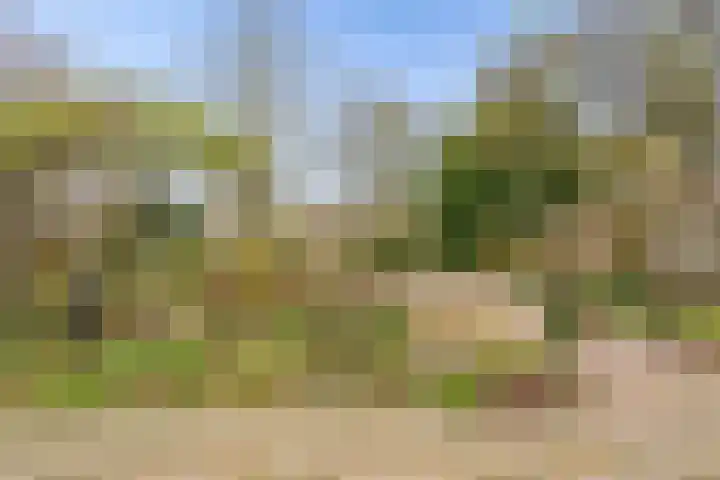 Hoenderkopershoek 27 Bunnik thumbnail 46
