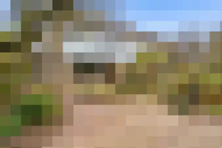 Hoenderkopershoek 27 Bunnik thumbnail 47
