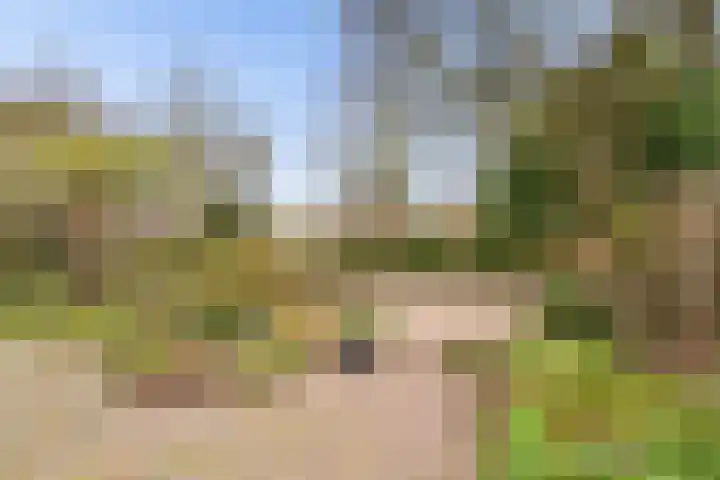 Hoenderkopershoek 27 Bunnik thumbnail 48