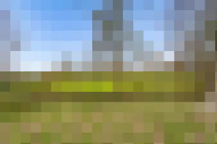 Hoenderkopershoek 27 Bunnik thumbnail 51