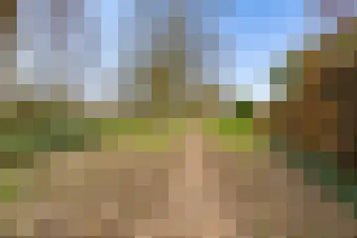 Hoenderkopershoek 27 Bunnik thumbnail 52