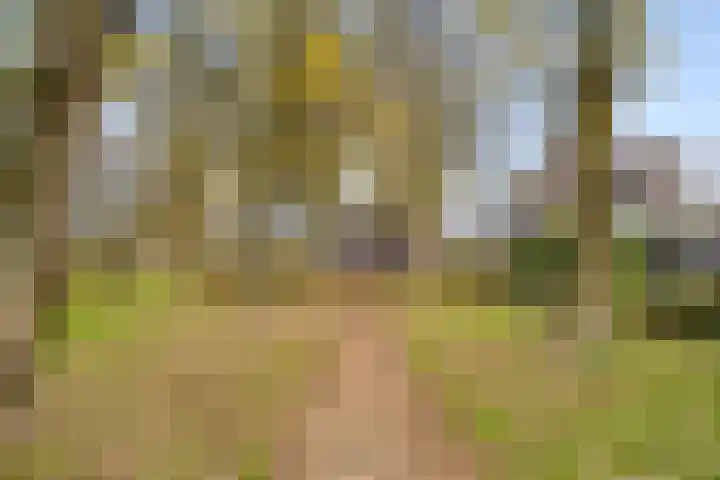 Hoenderkopershoek 27 Bunnik thumbnail 53