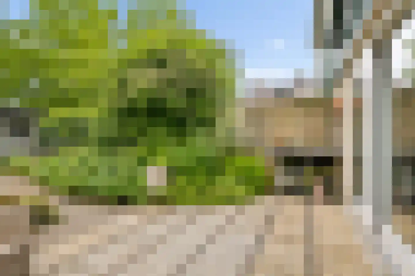 Hoenderkopershoek 33 Bunnik thumbnail 40