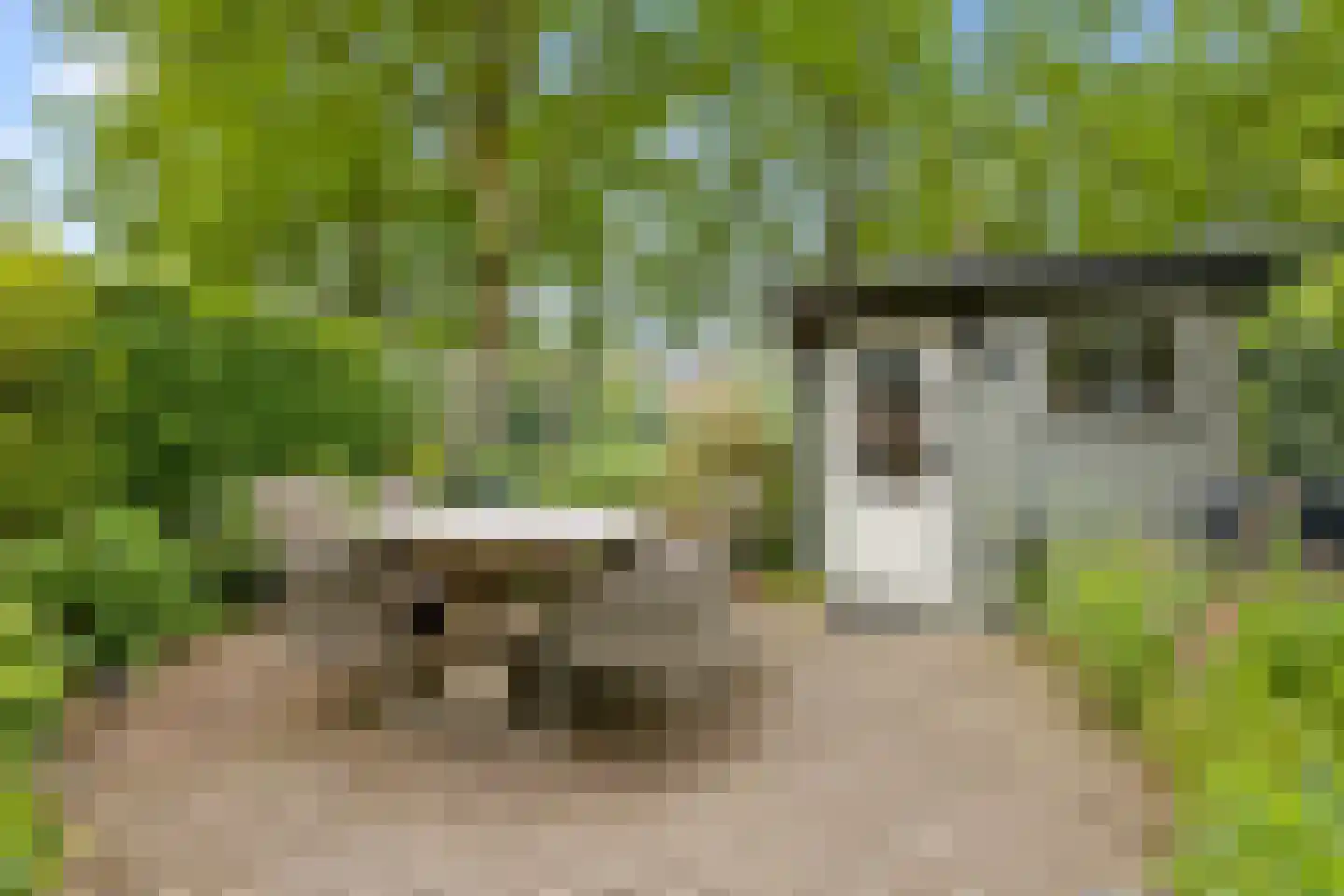 Hoenderkopershoek 33 Bunnik thumbnail 44