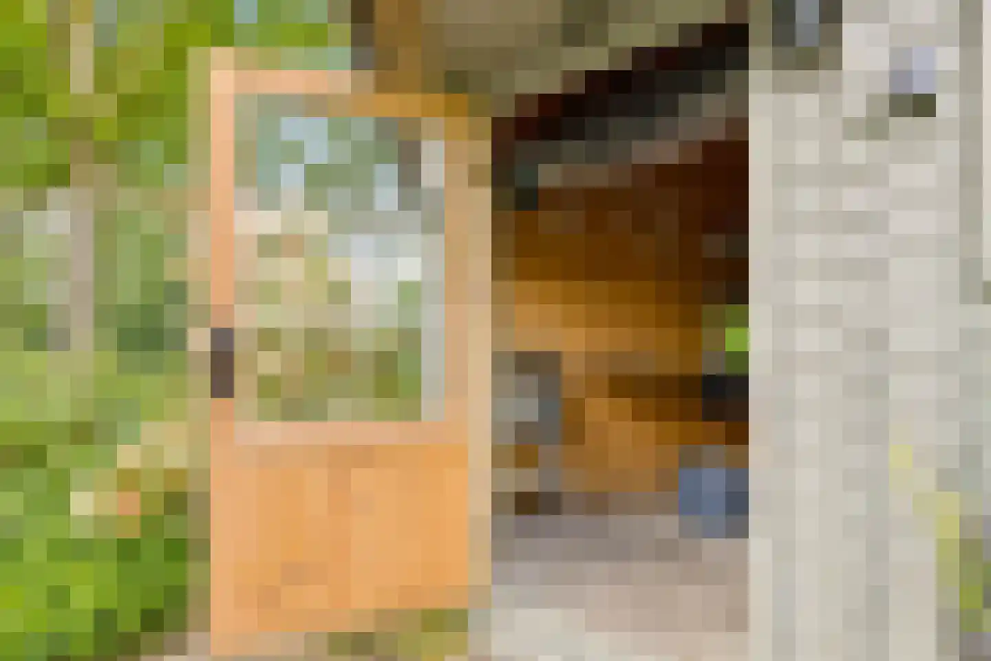 Hoenderkopershoek 33 Bunnik thumbnail 45