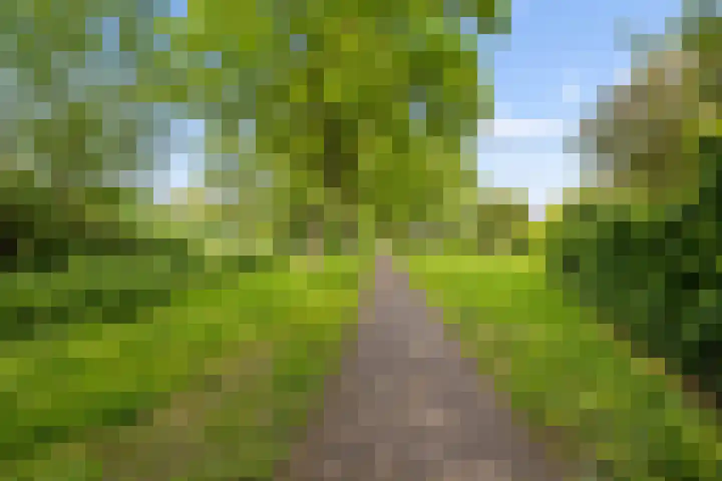 Hoenderkopershoek 33 Bunnik thumbnail 48