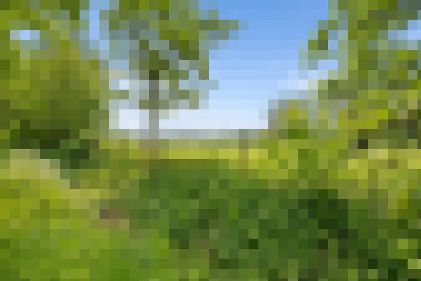 Hoenderkopershoek 33 Bunnik thumbnail 52