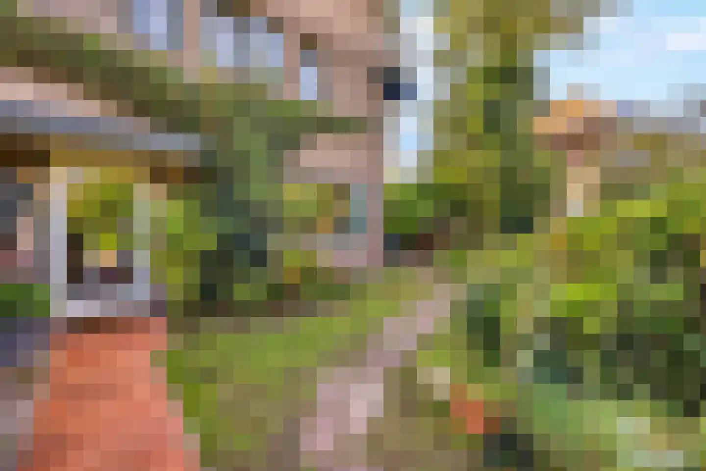 Hoenderlaan 6 Den Haag thumbnail 11