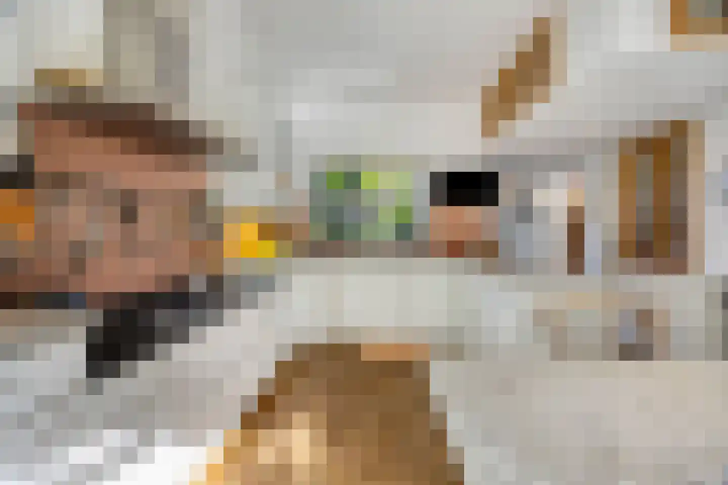 Hoenderlaan 6 Den Haag thumbnail 13
