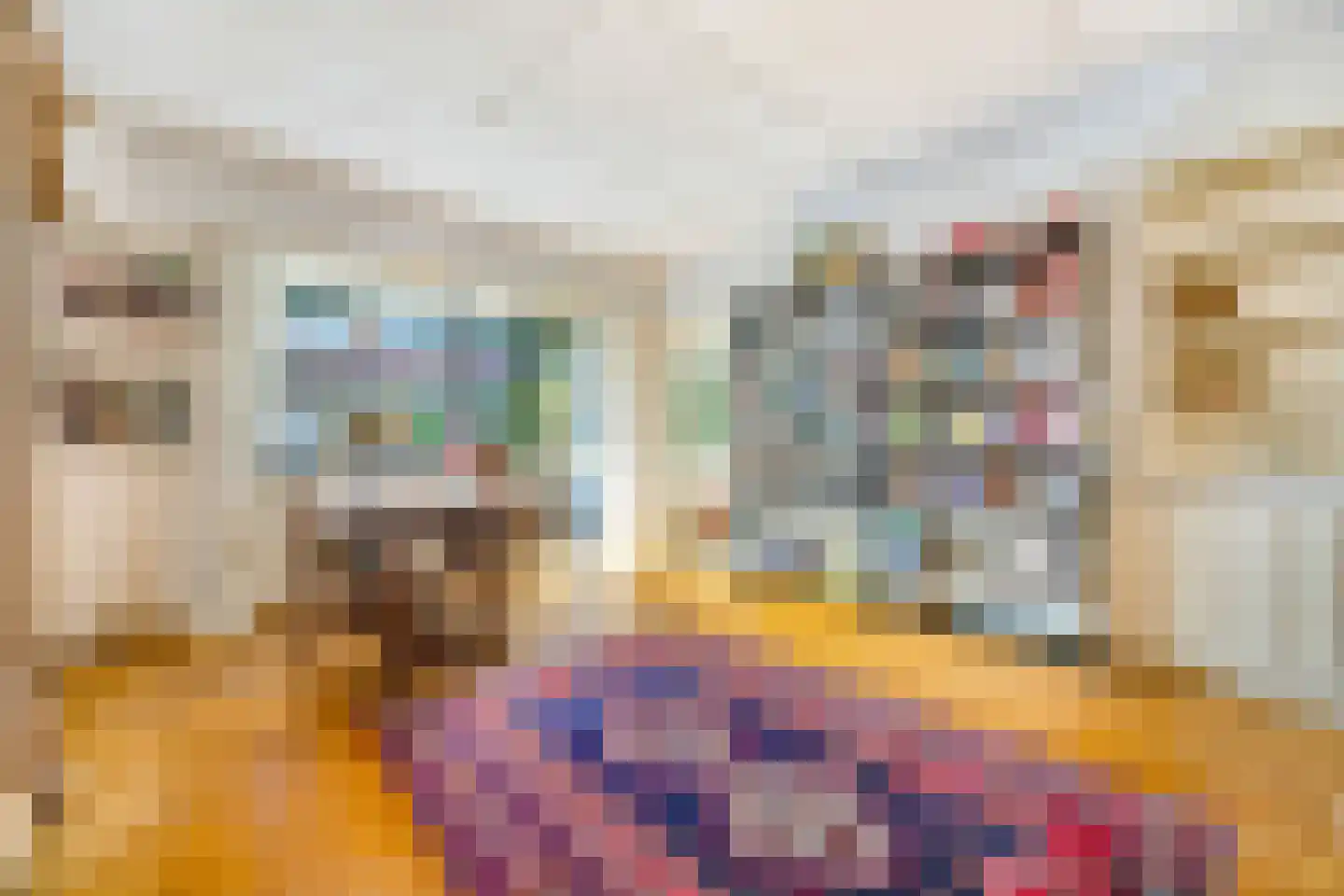 Hoenderlaan 6 Den Haag thumbnail 15