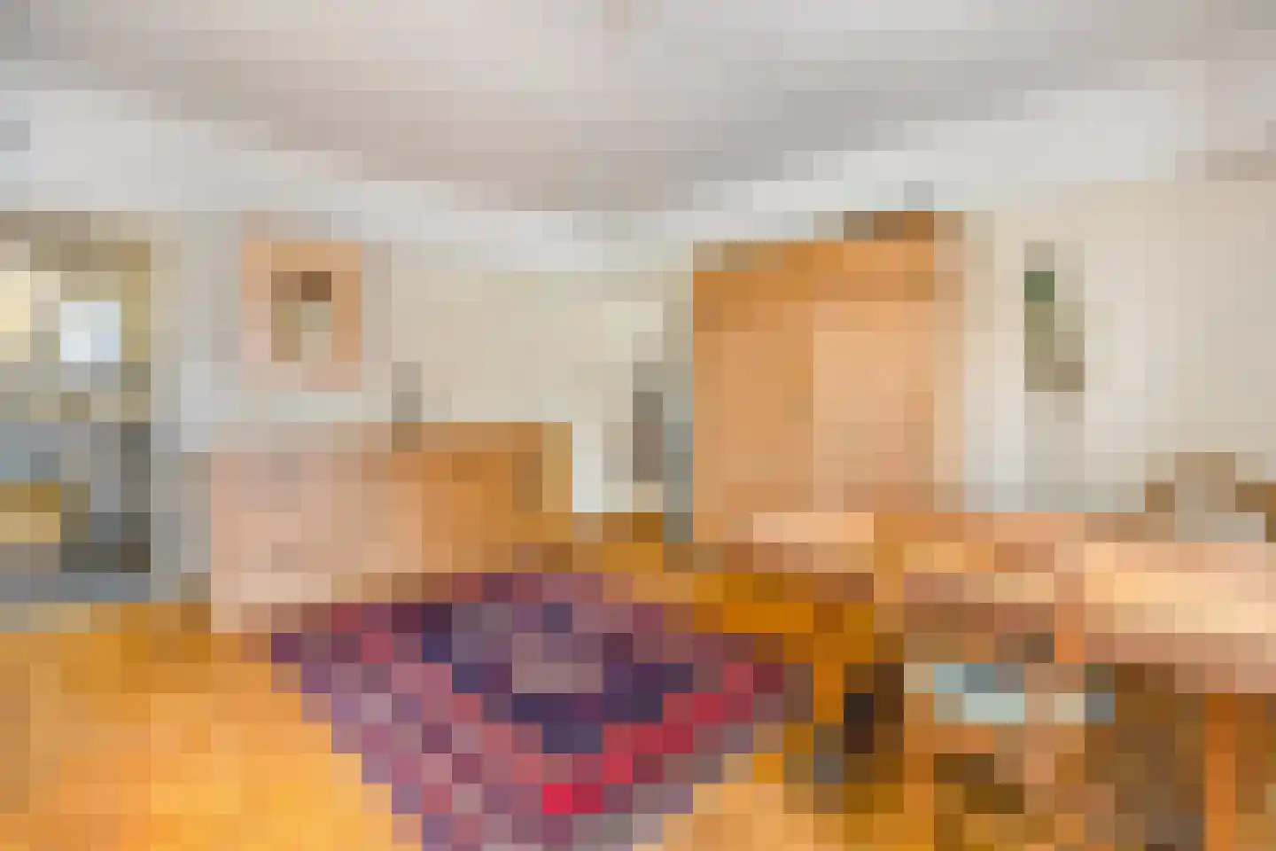 Hoenderlaan 6 Den Haag thumbnail 16