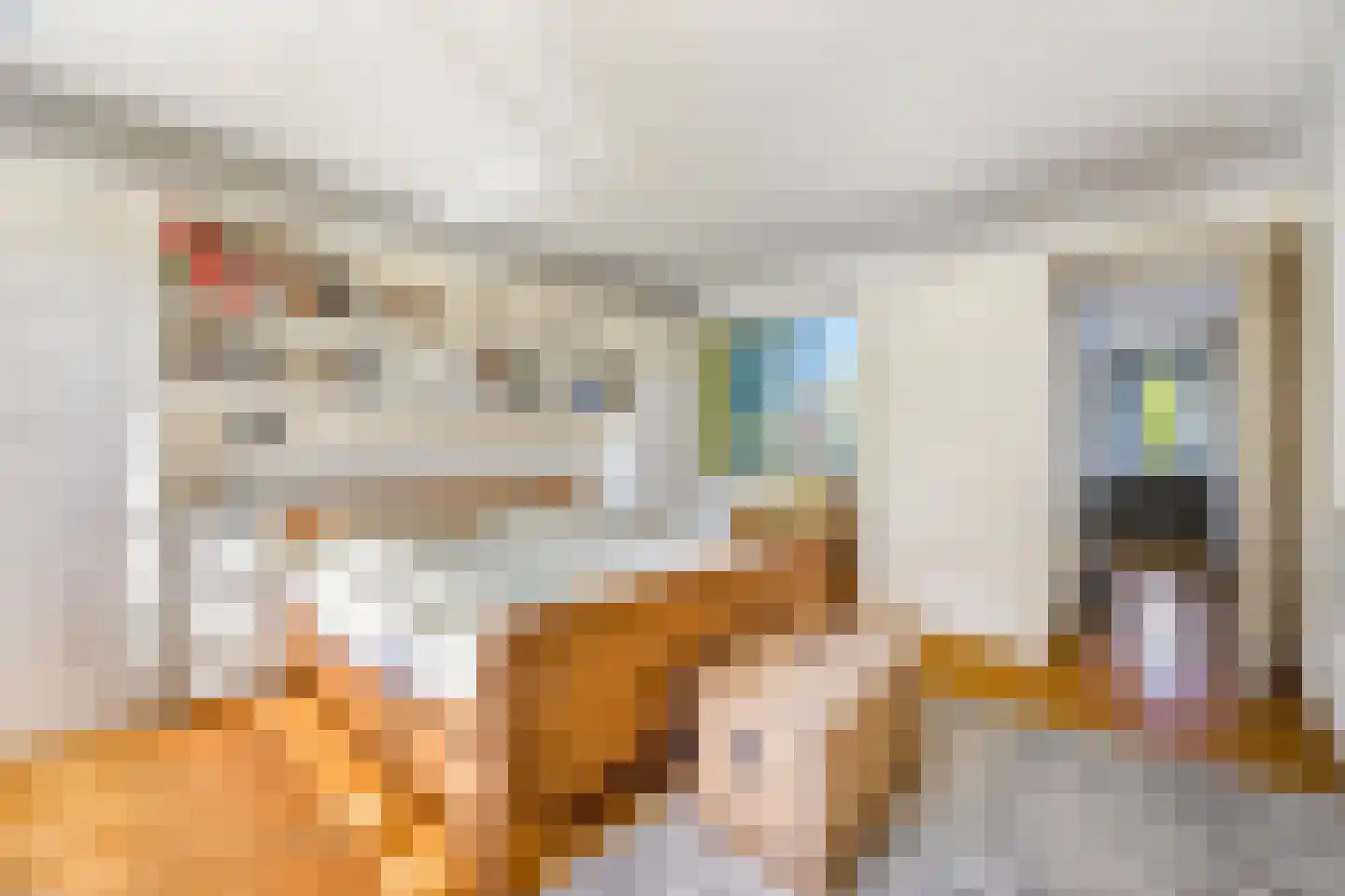 Hoenderlaan 6 Den Haag thumbnail 17