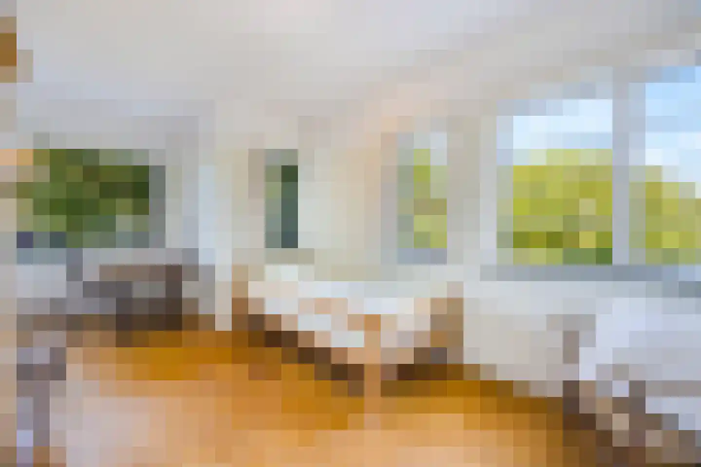 Hoenderlaan 6 Den Haag thumbnail 18
