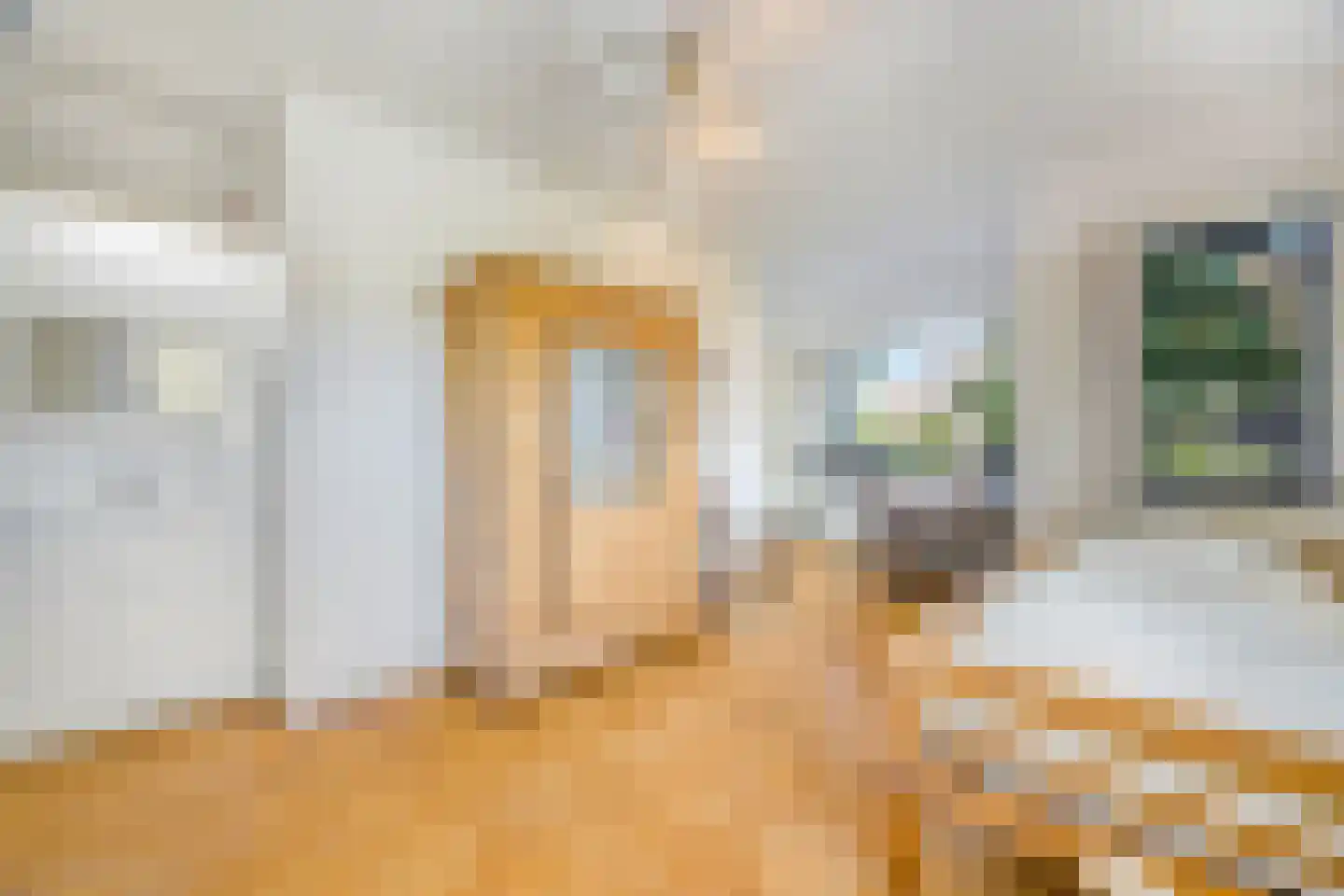 Hoenderlaan 6 Den Haag thumbnail 19