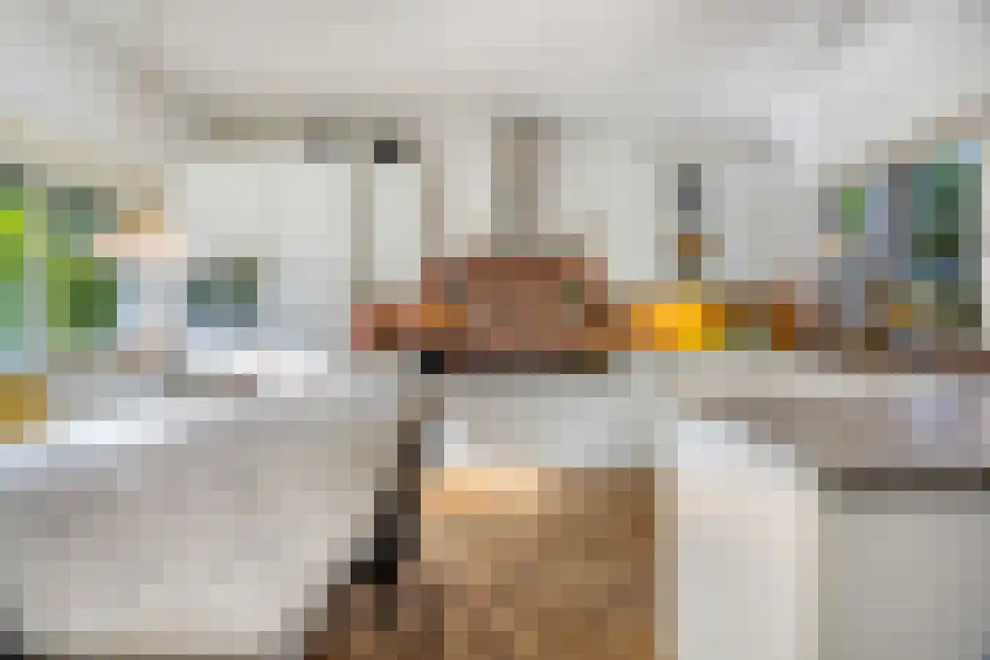 Hoenderlaan 6 Den Haag thumbnail 4