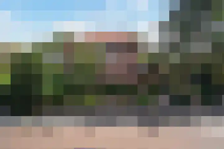 Hoenderlaan 7 in Den Haag