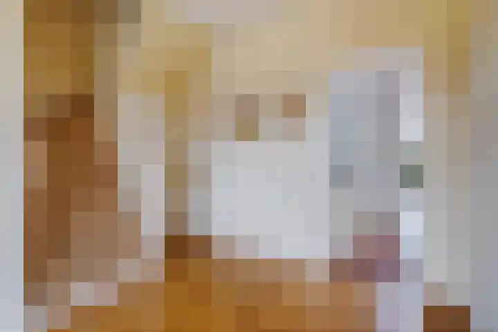 Hoenderlaan 7 Den Haag thumbnail 11