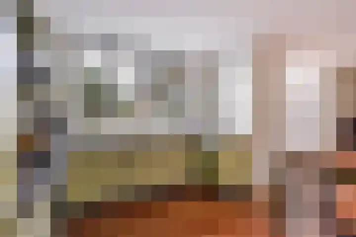 Hoenderlaan 7 Den Haag thumbnail 14