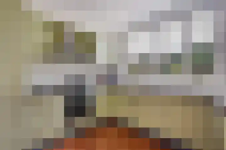 Hoenderlaan 7 Den Haag thumbnail 15