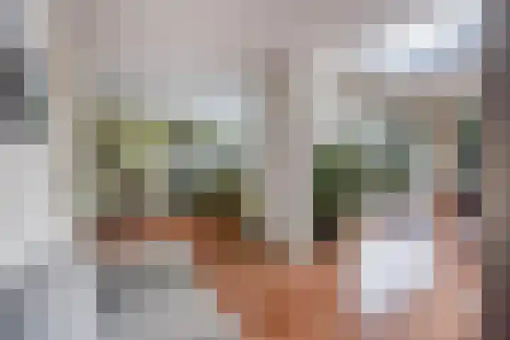 Hoenderlaan 7 Den Haag thumbnail 16