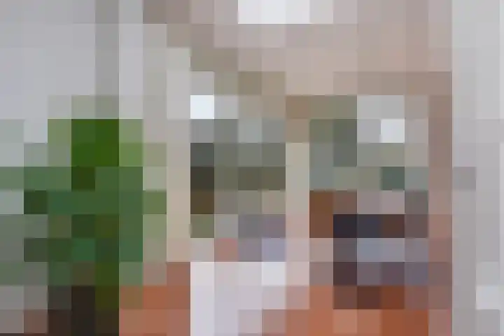 Hoenderlaan 7 Den Haag thumbnail 18