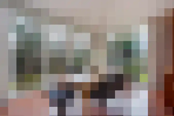 Hoenderlaan 7 Den Haag thumbnail 20