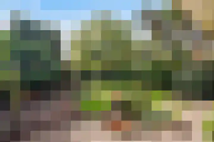 Hoenderlaan 7 Den Haag thumbnail 22