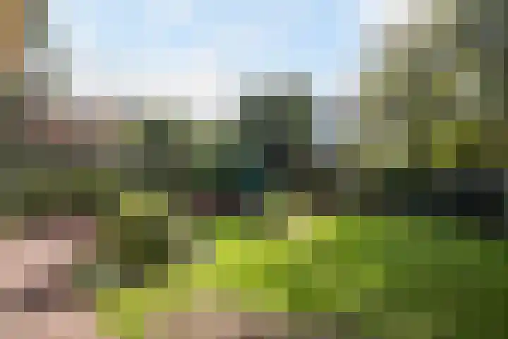 Hoenderlaan 7 Den Haag thumbnail 23