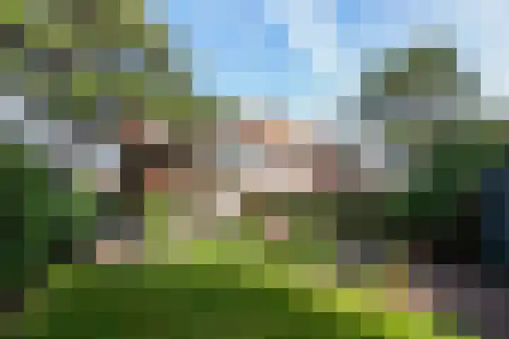 Hoenderlaan 7 Den Haag thumbnail 24