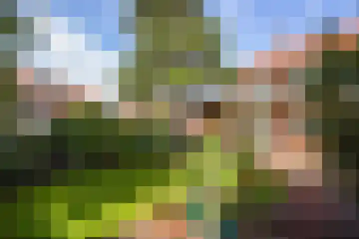 Hoenderlaan 7 Den Haag thumbnail 25