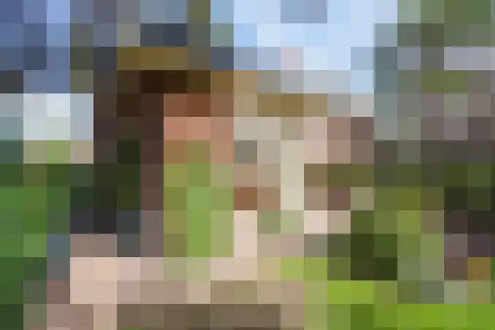 Hoenderlaan 7 Den Haag thumbnail 27