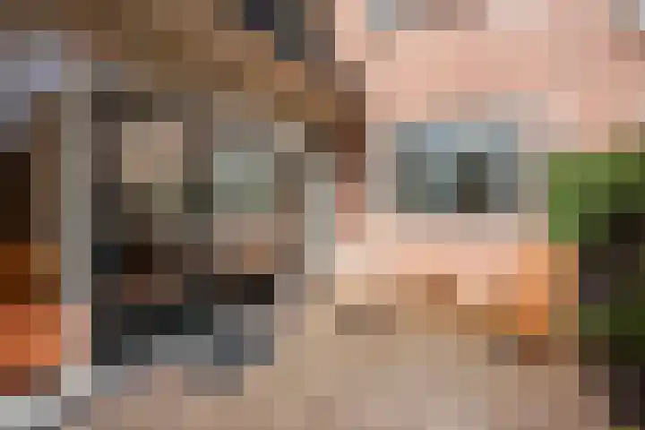 Hoenderlaan 7 Den Haag thumbnail 29
