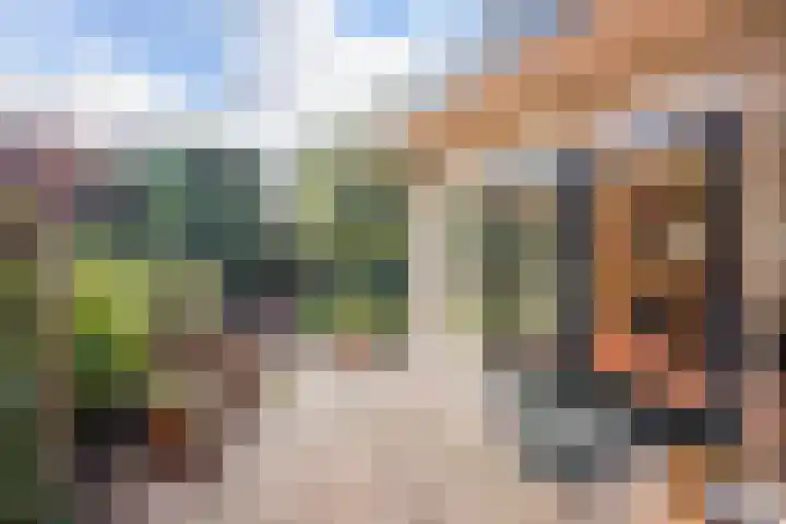 Hoenderlaan 7 Den Haag thumbnail 30