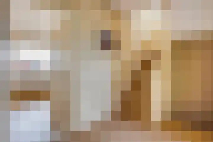 Hoenderlaan 7 Den Haag thumbnail 33