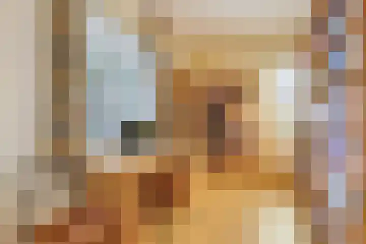 Hoenderlaan 7 Den Haag thumbnail 35