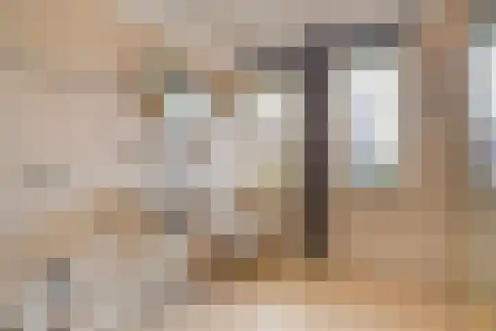 Hoenderlaan 7 Den Haag thumbnail 39