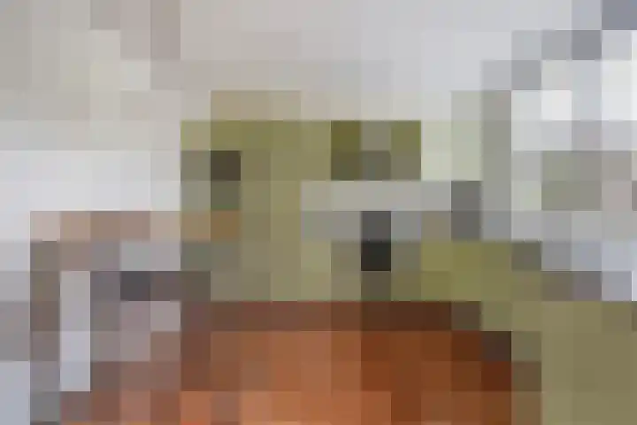 Hoenderlaan 7 Den Haag thumbnail 4