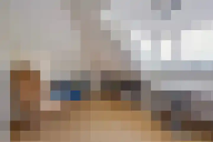Hoenderlaan 7 Den Haag thumbnail 47