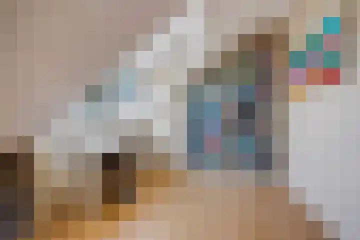 Hoenderlaan 7 Den Haag thumbnail 48