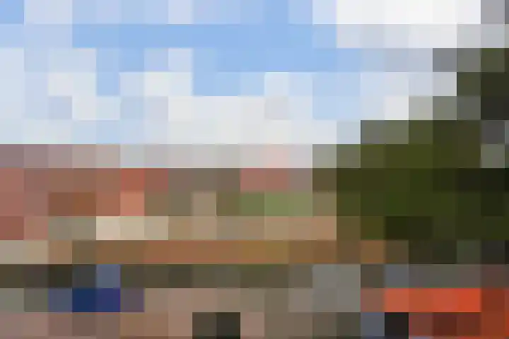 Hoenderlaan 7 Den Haag thumbnail 51