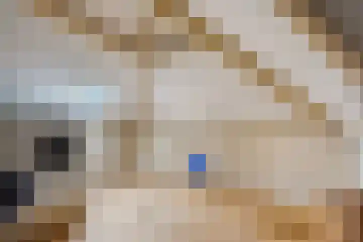 Hoenderlaan 7 Den Haag thumbnail 52