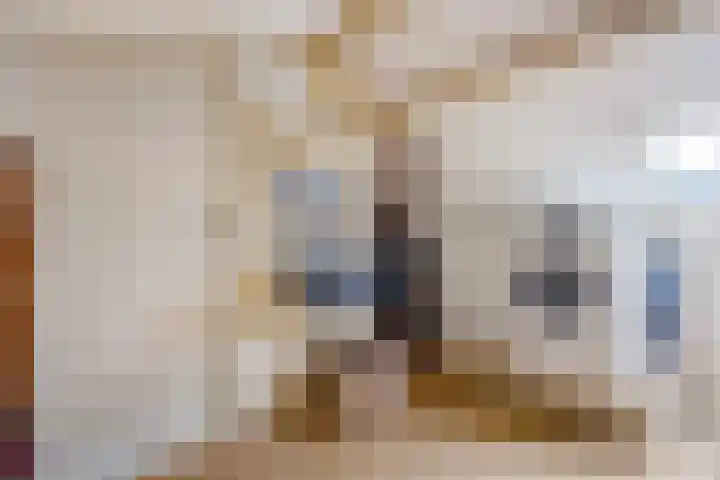 Hoenderlaan 7 Den Haag thumbnail 53
